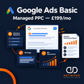 Google Ads Basic Management Package