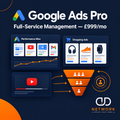 Google Ads Pro Management Package